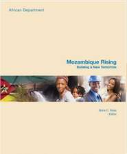 Mozambique Rising: Building a New Tomorrow