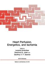 Heart Perfusion, Energetics, and Ischemia