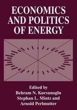 Economics and Politics of Energy