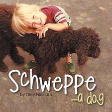 Schweppe