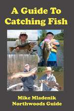 A Guide to Catching Fish