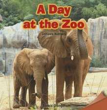 A Day at the Zoo