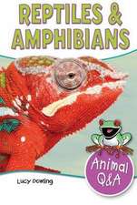 Reptiles & Amphibians