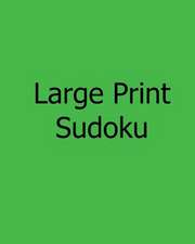 Large Print Sudoku - Moderate Puzzles