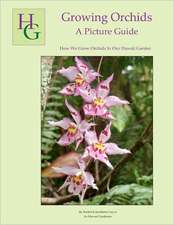 Growing Orchids - A Picture Guide