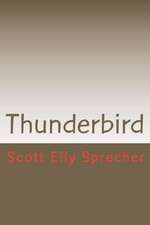 Thunderbird: A Millennial's Manifesto