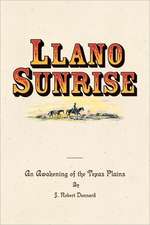 Llano Sunrise: An Awakening of the Texas Plains