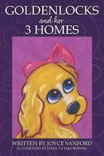 Goldenlocks and Her 3 Homes