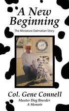 A New Beginning