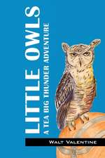 Little Owls: A Tea Big Thunder Story