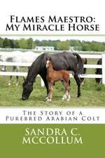 Flames Maestro: The Story of a Purebred Arabian Colt