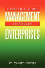 A Practical Guide - Management of Risks in Small and Medium-Size Enterprises