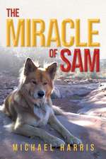 The Miracle of Sam