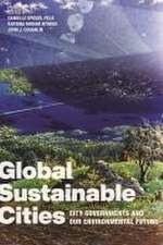 Global Sustainable Cities – City Governments and Our Environmental Future