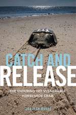 Catch and Release – The Enduring Yet Vulnerable Horseshoe Crab