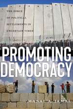 Promoting Democracy – The Force of Political Settlements in Uncertain Times