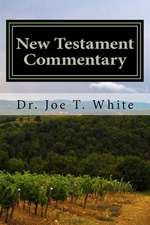 New Testament Commentary