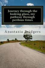 Journey Through the Looking Glass, My Pathway Through Perilous Times