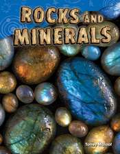 Rocks and Minerals (Grade 2)