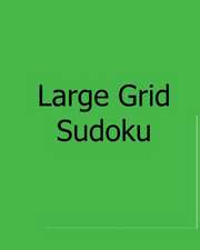 Large Grid Sudoku