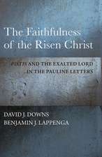 Downs, D: The Faithfulness of the Risen Christ