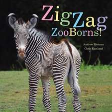 Zigzag Zooborns