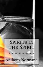 Spirits in the Spirit