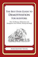 The Best Ever Guide to Demotivation for Auditors