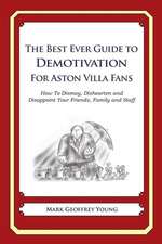 The Best Ever Guide to Demotivation for Aston Villa Fans