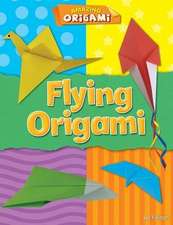 Flying Origami