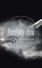 The Possibility Zone