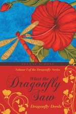 What the Dragonfly Saw