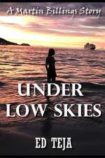 Under Low Skies