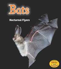 Bats: Nocturnal Flyers