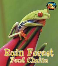 Rain Forest Food Chains