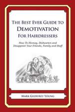 The Best Ever Guide to Demotivation for Hairdressers