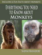 Everything You Need to Know about Monkeys