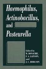 Haemophilus, Actinobacillus, and Pasteurella