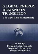 Global Energy Demand in Transition: The New Role of Electricity