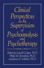 Clinical Perspectives on the Supervision of Psychoanalysis and Psychotherapy