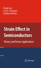 Strain Effect in Semiconductors: Theory and Device Applications