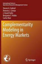 Complementarity Modeling in Energy Markets