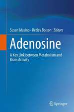 Adenosine: A Key Link between Metabolism and Brain Activity