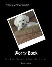 Worry Book