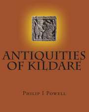 Antiquities of Kildare