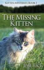 The Missing Kitten