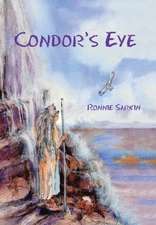 Condor's Eye