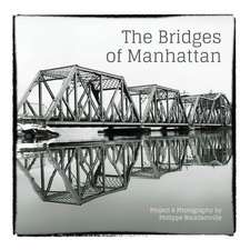 The Bridges of Manhattan