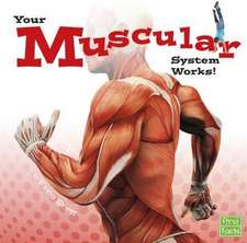 Your Muscular System Works!