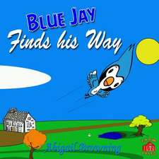 Blue Jay Finds His Way